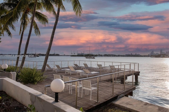dock area featuring a water view