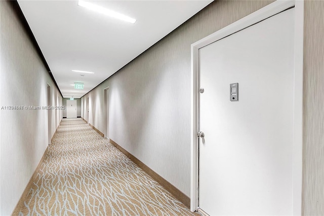 hall featuring light colored carpet