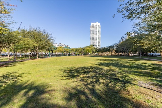 view of community with a lawn