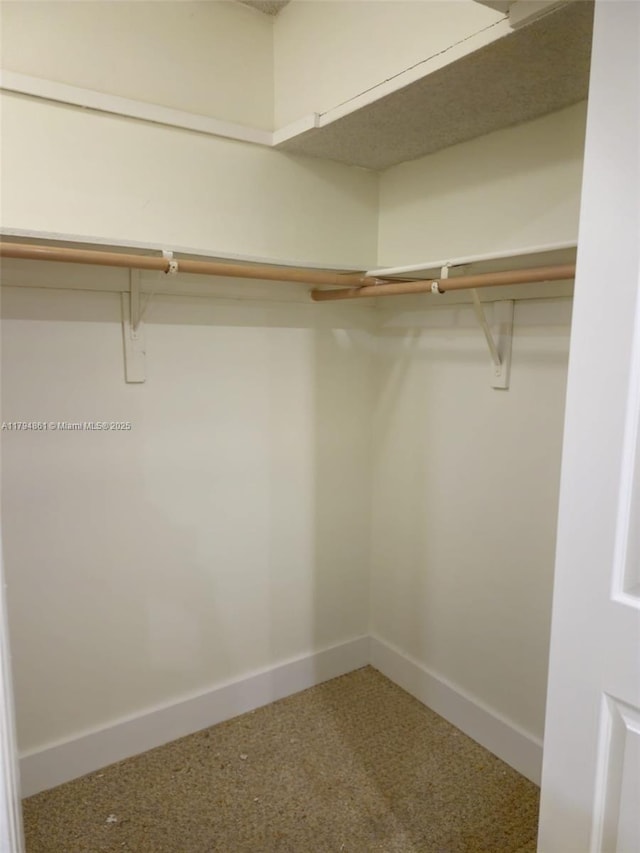 spacious closet featuring carpet