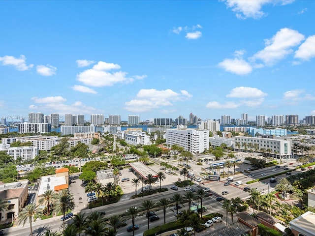 drone / aerial view with a city view