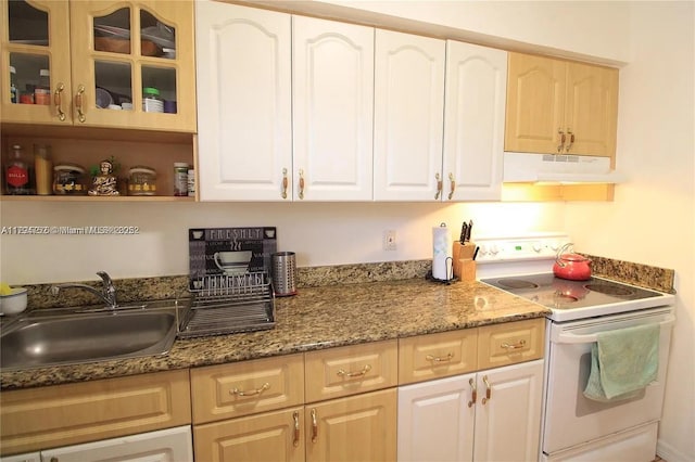 kitchen with a sink, glass insert cabinets, under cabinet range hood, white cabinets, and electric stove