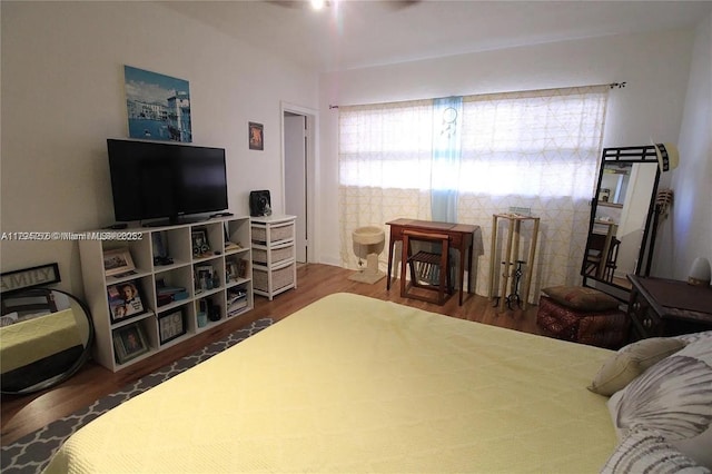 bedroom with multiple windows and wood finished floors