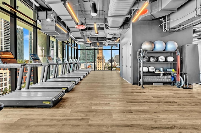 gym featuring wood finished floors