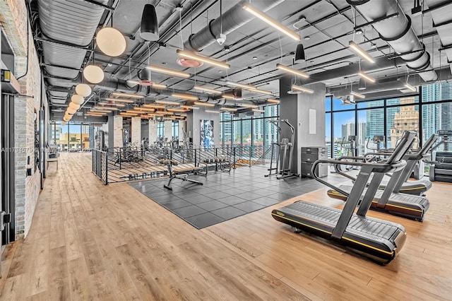 workout area featuring a city view and wood finished floors