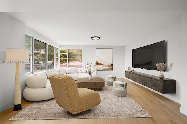 living area featuring baseboards and wood finished floors