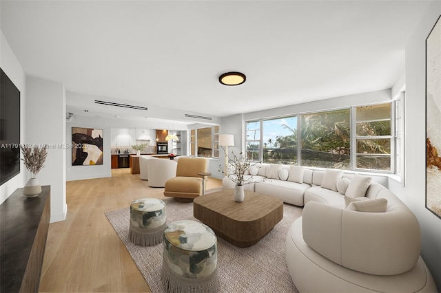 living room featuring light wood finished floors