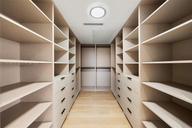 walk in closet with light wood-type flooring and visible vents