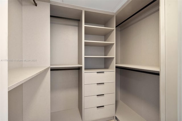 view of spacious closet