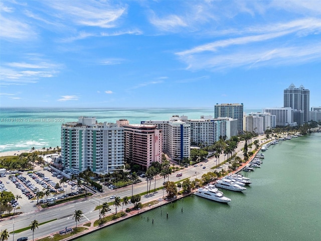 drone / aerial view with a water view and a city view