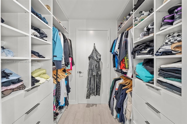 walk in closet featuring wood finished floors