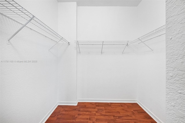 8904 SW 229th St, Cutler Bay, FL 33190 - spacious closet featuring wood finished floors