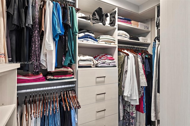 view of spacious closet