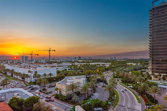aerial view at dusk featuring a city view