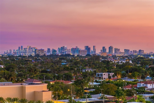 property's view of city