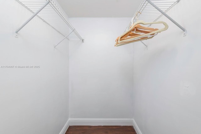 walk in closet with wood finished floors
