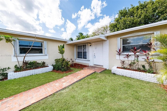 doorway to property with stucco siding and a yard