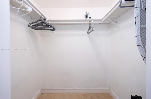 170 SE 14th St Unit 2708, Miami, FL 33131 - view of spacious closet