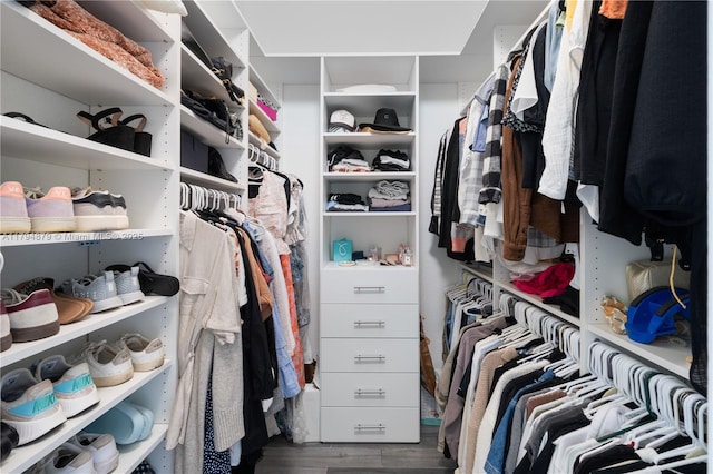 7745 SW 188th Ter, Cutler Bay, FL 33157 - walk in closet featuring wood finished floors