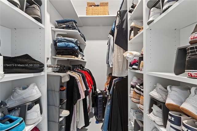view of spacious closet