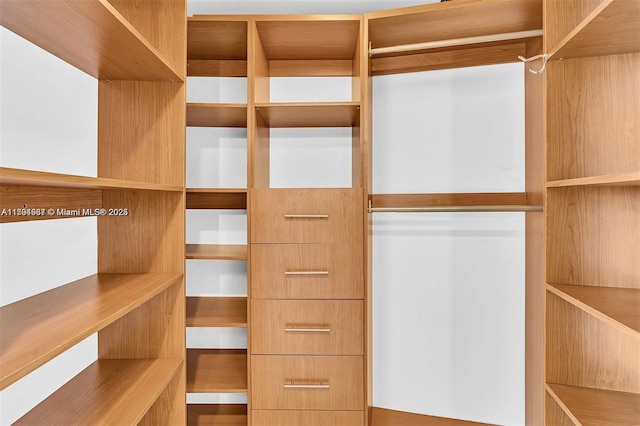 view of walk in closet