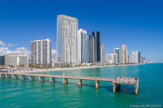 property view of water with a city view