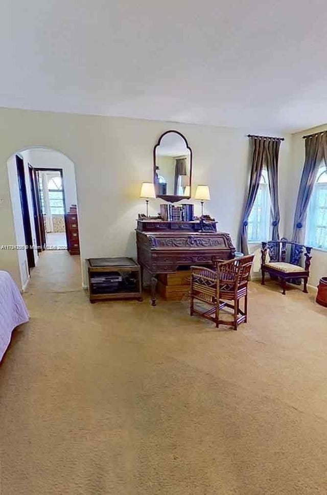 living area featuring arched walkways and light colored carpet