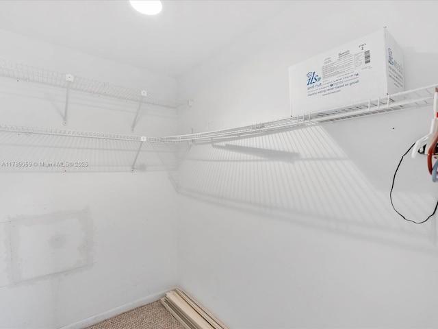 8000 SW 152nd Ave Unit 111, Miami, FL 33193 - walk in closet featuring carpet flooring
