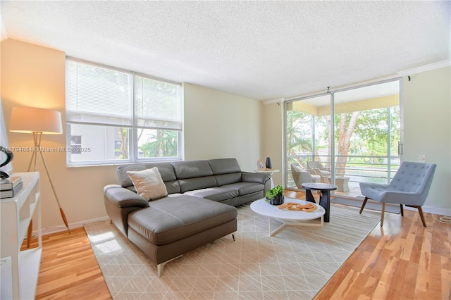living area featuring baseboards, a textured ceiling, light wood-style flooring, and a wall of windows