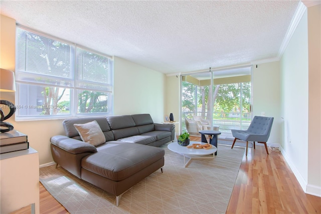 living room with a textured ceiling, plenty of natural light, and wood finished floors