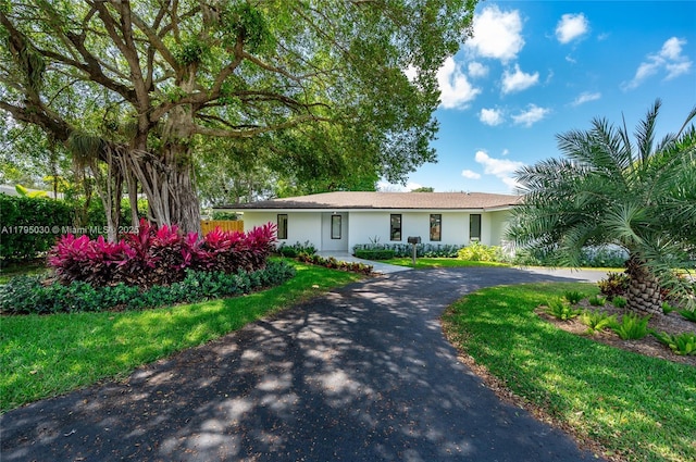 single story home with driveway, a front yard, and stucco siding