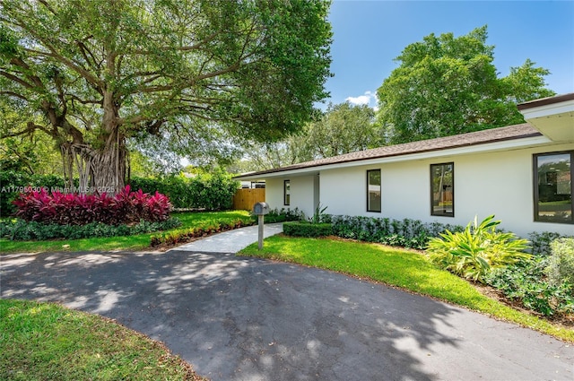 ranch-style house with fence, stucco siding, and a front lawn