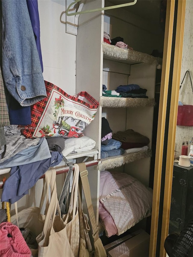 view of walk in closet