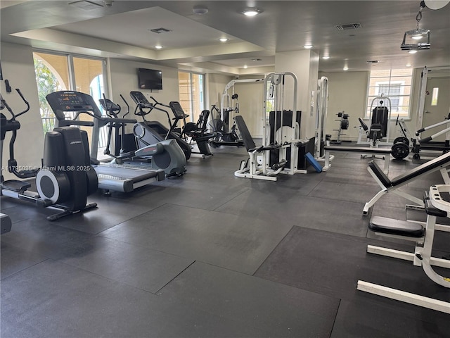 exercise room featuring healthy amount of natural light and a tray ceiling