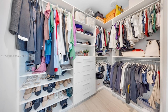 view of walk in closet