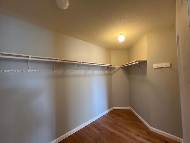 walk in closet with wood finished floors