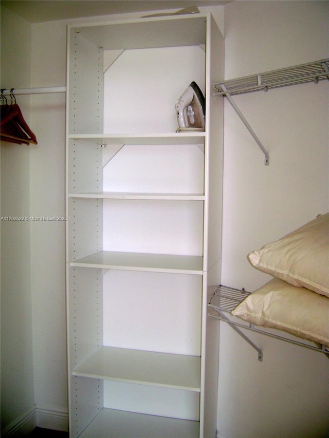 view of walk in closet