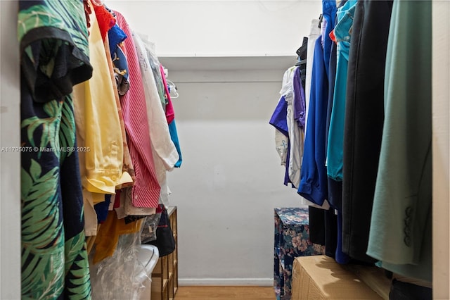spacious closet featuring wood finished floors