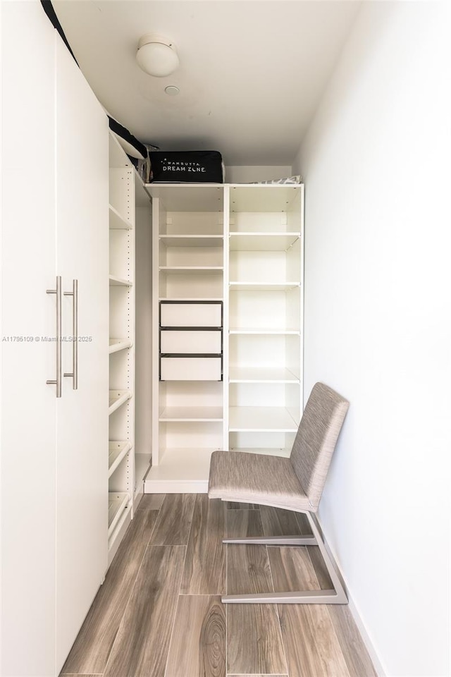 spacious closet featuring wood finished floors