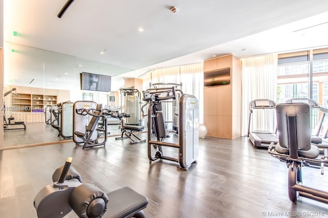 gym featuring wood finished floors