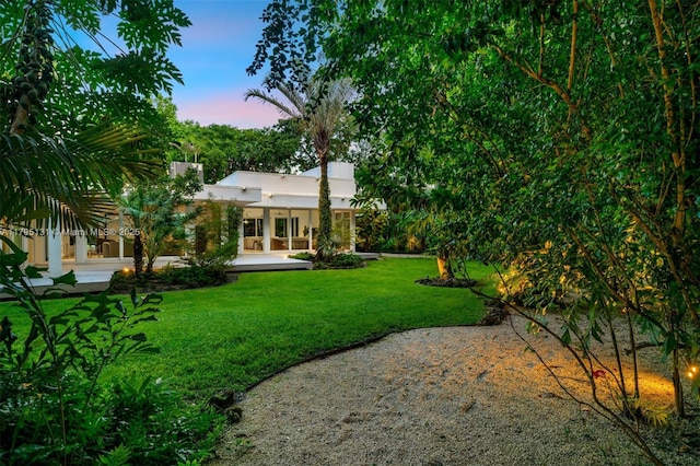 view of yard featuring a patio