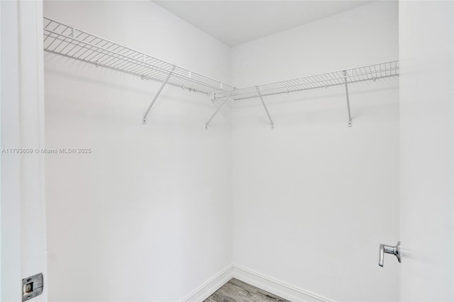 171 N Shore Dr Unit 171-1, Miami Beach, FL 33141 - spacious closet with wood finished floors