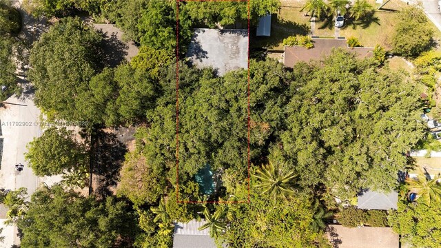 3161 Day Ave, Miami, FL 33133 - photo 44