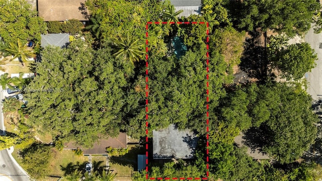 3161 Day Ave, Miami, FL 33133 - photo 45