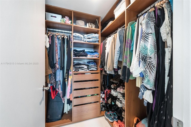 view of walk in closet