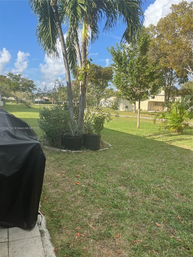 view of yard