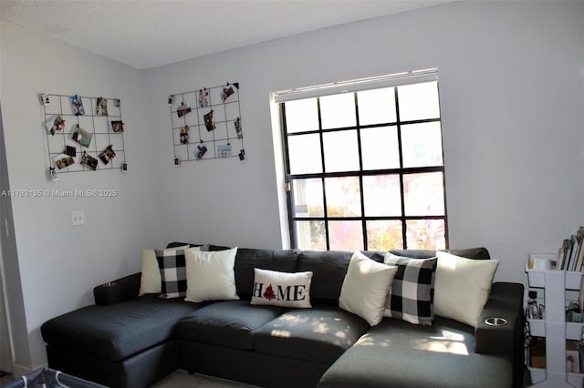 3638 NW 83rd Ln, Sunrise, FL 33351 - view of living area