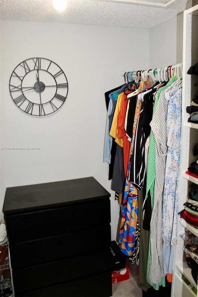 3638 NW 83rd Ln, Sunrise, FL 33351 - view of spacious closet