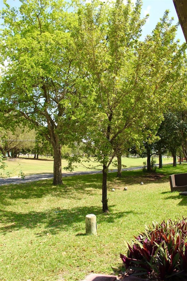 3638 NW 83rd Ln, Sunrise, FL 33351 - view of home's community with a lawn