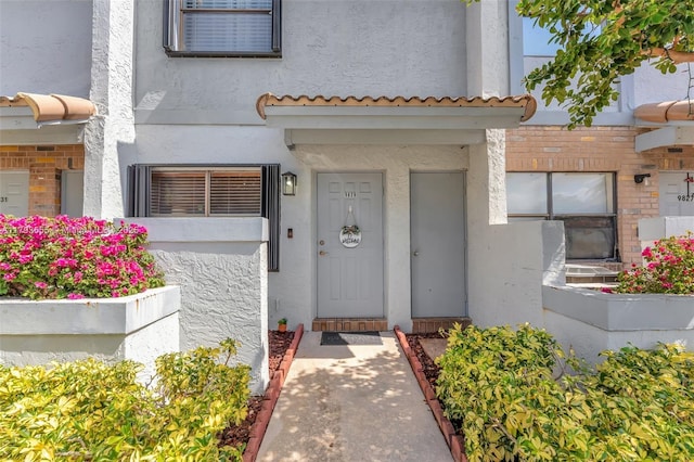 view of exterior entry with stucco siding